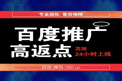 百度推广实战：成功企业的营销策略